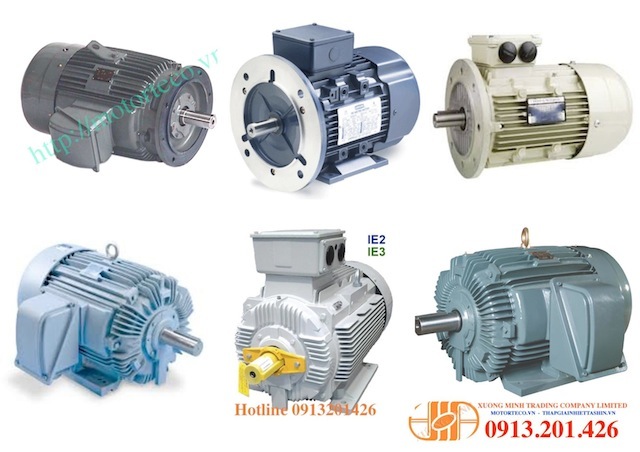 Dong Co Teco 16(1)