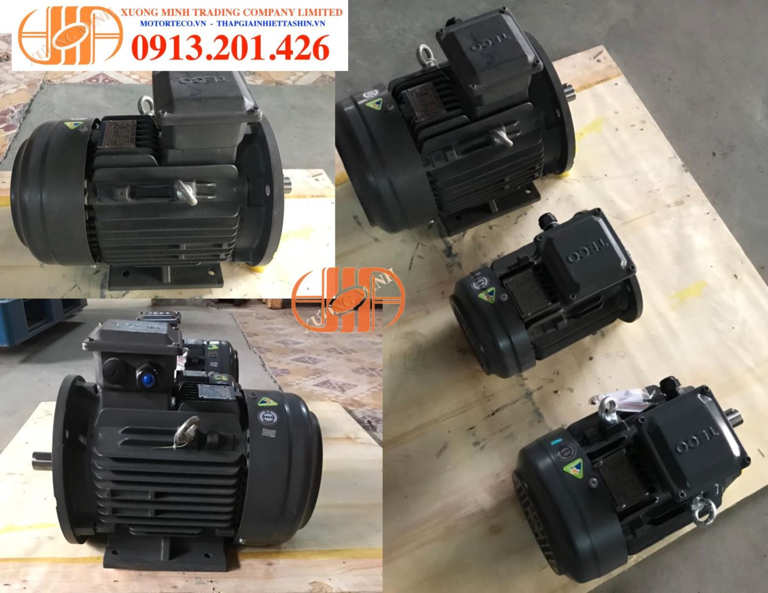 Teco Aesvla 5,5hp