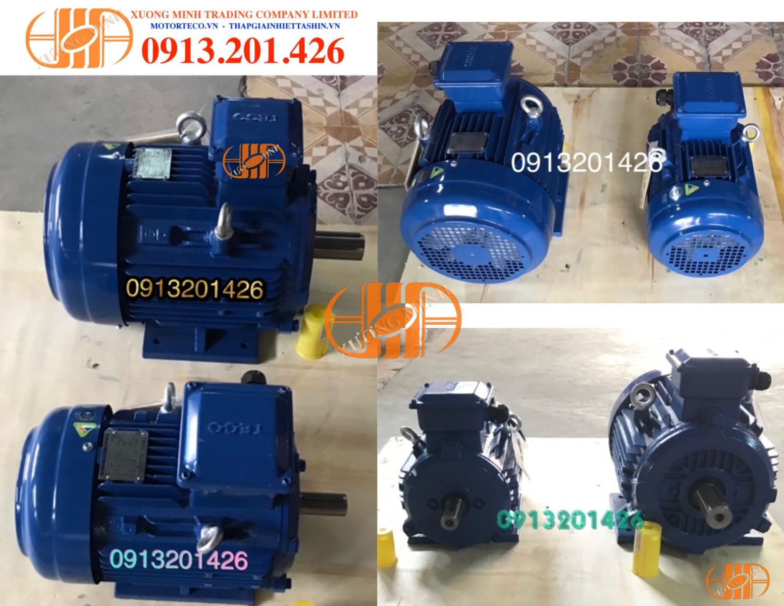 đông Cơ Teco 3hp 1