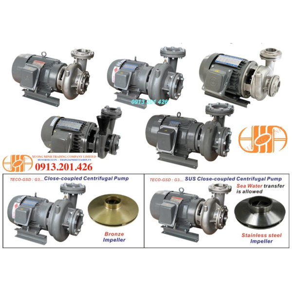 Cấu tạo máy bơm nước teco liền trục, máy bơm nước giá rẻ nhất 