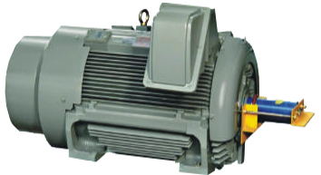 Dong Co Ha The Tefc Teco (1)