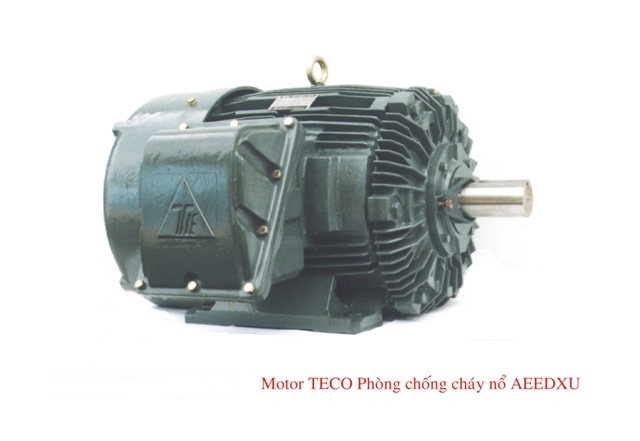 Motor Chong Chay No Teco Loai Aeedxu (1)
