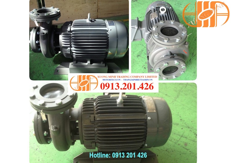 May Bom Teco 40hp 1
