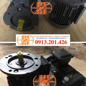 Dong Co Chan De Mat Bich Teco 2hp