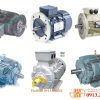 Dong Co Teco 16(1)