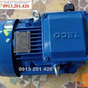 Đông Cơ Teco 4p 7,5hp