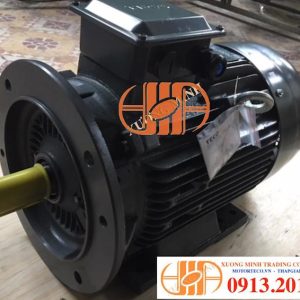 Dong Co Chan De Mat Bich, #teco, #1hp(1)