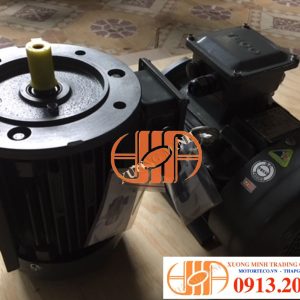 #dong Co Teco 1hp, #teco Motor, #1hp, 0,75kw