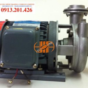 Bom Inox Teco 1hp