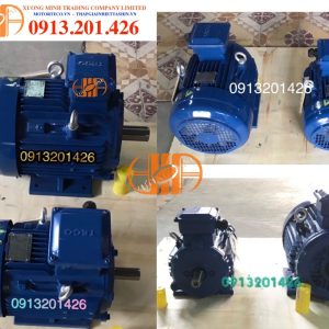 đông Cơ Teco 3hp 1