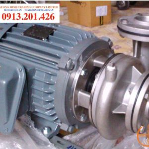 May Bom Teco Inox 3hp