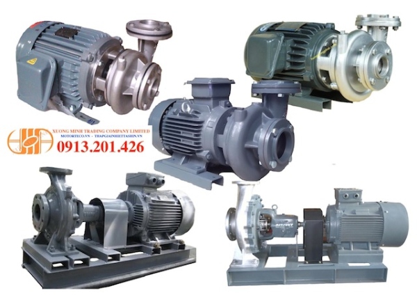 Máy bơm nước Teco chính hãng phân phối bởi Xương Minh