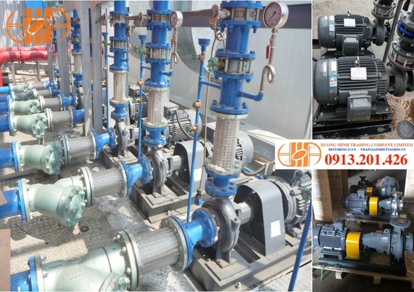 Máy bơm công nghiệp TECO-EBARA hiệu suất ổn định và tiết kiệm điện năng