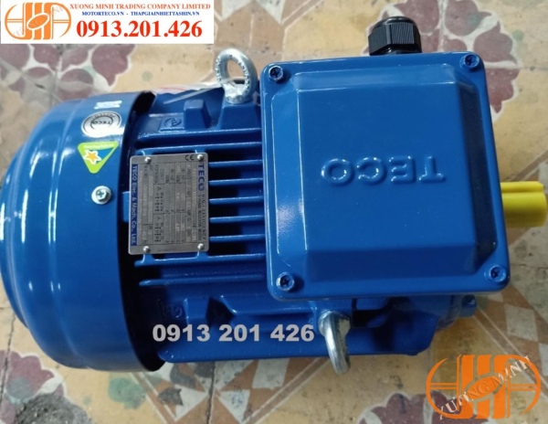 Các thông số quan trọng thường được cố định trên động cơ