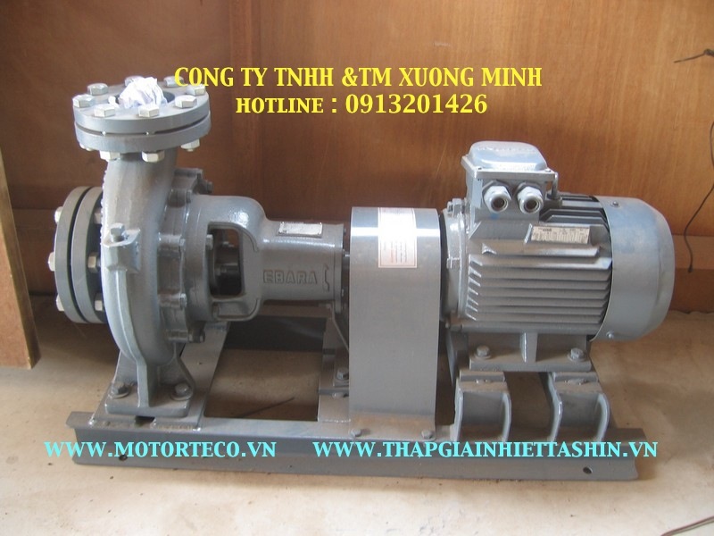 Bom-TECO-Ebara4, máy bơm trục rời teco, máy bơm teco, teco pump.