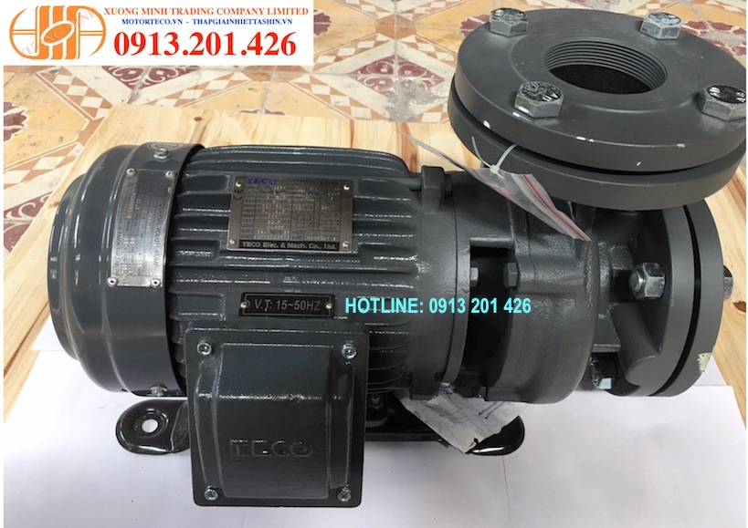 may-bom-nuoc-teco-2hp-bom-teco-2hp, 2hp, máy bơm teco 2hp.