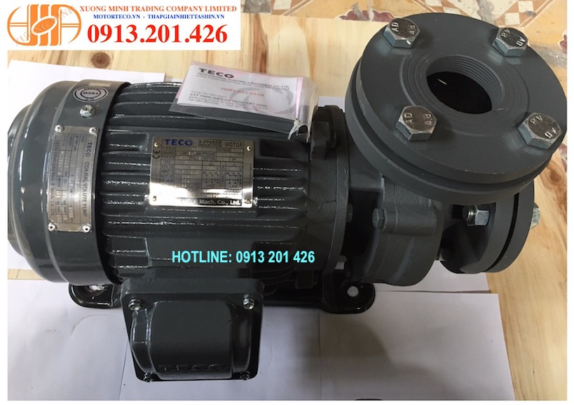 #May_bom_teco_3Hp. 2,2kw, teco pump, teco, motor teco.3hp, 2,2kw