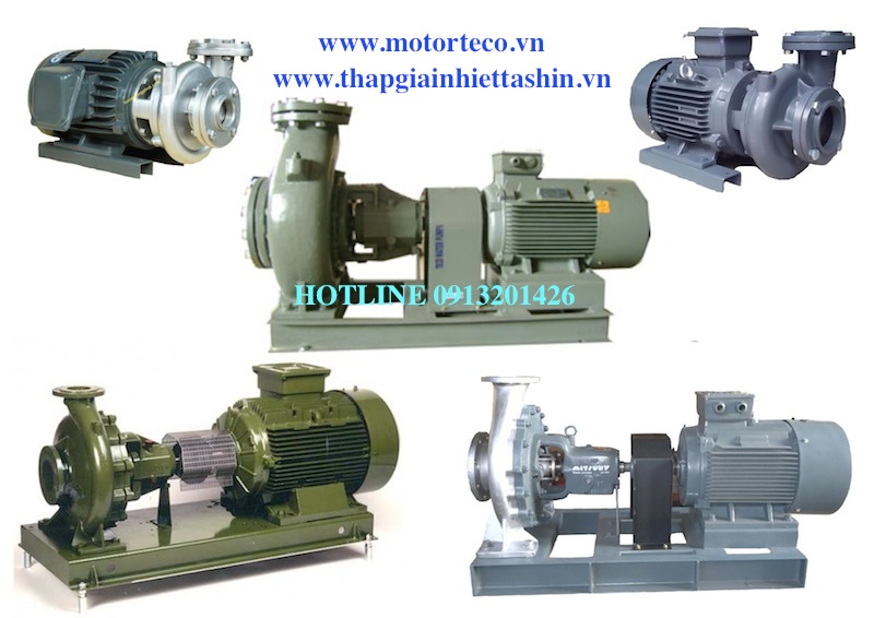 May-bom-nuoc-teco, máy bơm teco, teco pump.