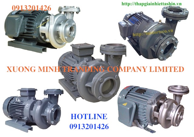 May-bom-teco-lien-truc, máy bơm teco inox, bơm inox.