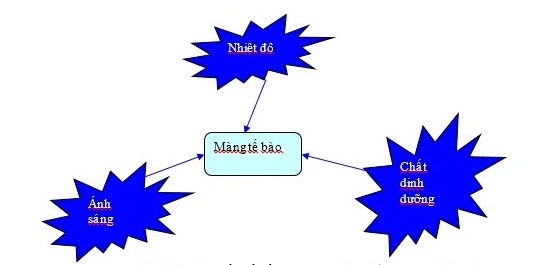 Vi-sinh-trong-thap-giai-nhiet.