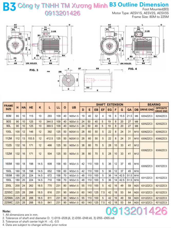 dong-co-dien-teco-aesv. teco motor.