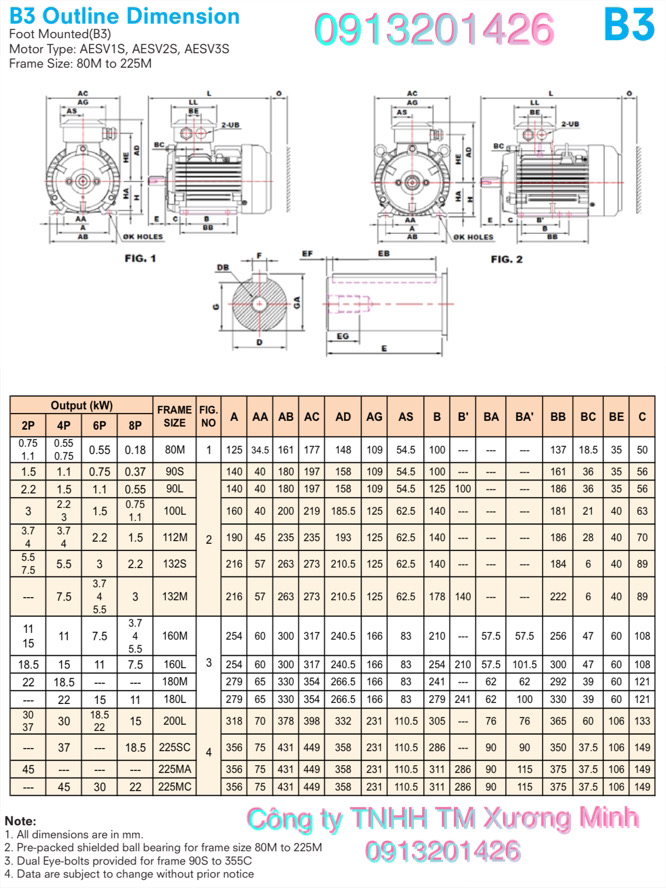 dong-co-dien-teco-aesv